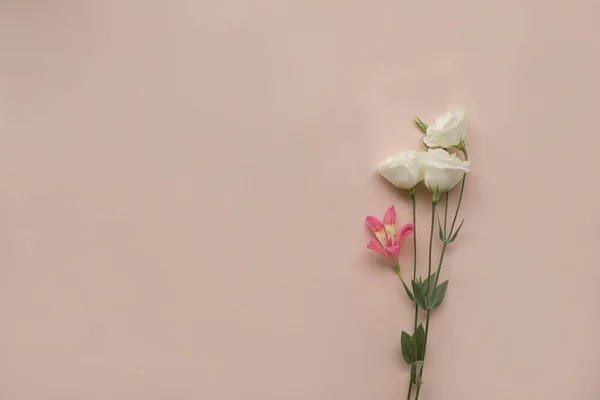 Tres Eustomas Blancos Una Alstroemeria Rosa Sobre Fondo Claro Concepto — Foto de Stock