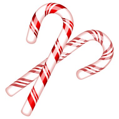 İki şeker kamışı vektör çizim