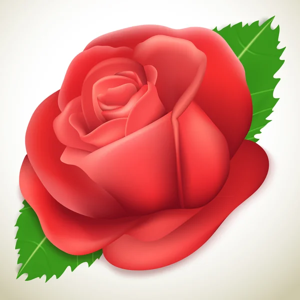 Realistic rose, vector illustration — Stock Vector