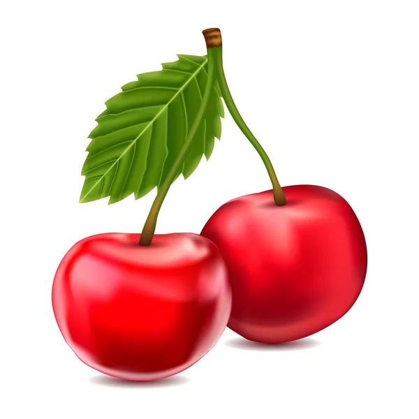 Cerezas vectoriales — Vector de stock