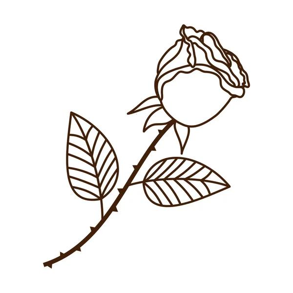 Άνευ ραφής χαριτωμένο τριαντάφυλλο, λουλούδι μοτίβο διάνυσμα — Διανυσματικό Αρχείο