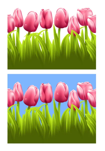 Fondo horizontal sin costuras con tulipanes . — Vector de stock