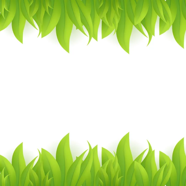 Green grass, vector — Stock Vector