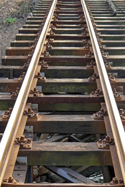 Demiryolu Köprüsü Tren