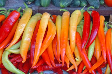 sıcak kırmızı biber