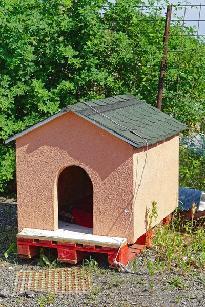 Maison Pour Chien Avec Façade Toit Palette Cargaison — Photo