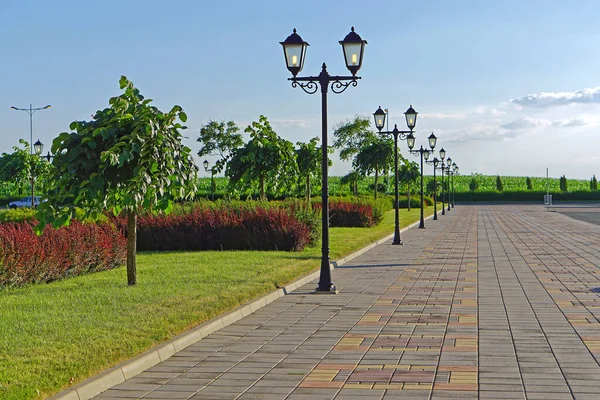 Güneşli Yaz Gününde Güzel Bir Park Yürüyüşü — Stok fotoğraf