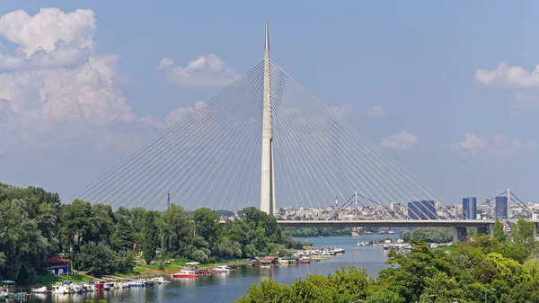 Neuer Pfeiler Der Hängebrücke Ada Belgrad Serbien — Stockfoto