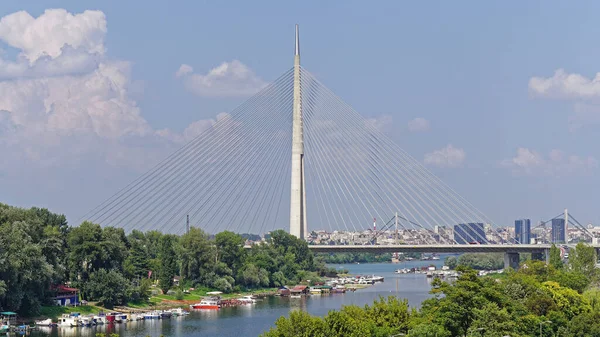 Ada Függőhíd Pillér Belgrád Szerbia — Stock Fotó