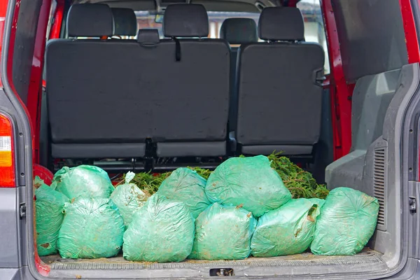 Green bags in car booth cargo transport