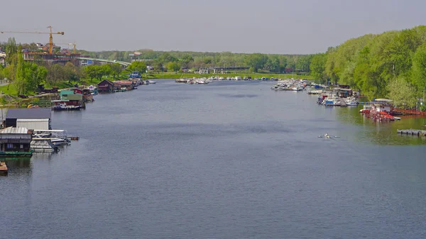 Hoher Wasserstand Der Sava Belgrad Serbien — Stockfoto