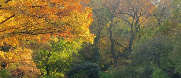 NYC - Central Park — Stock Photo, Image