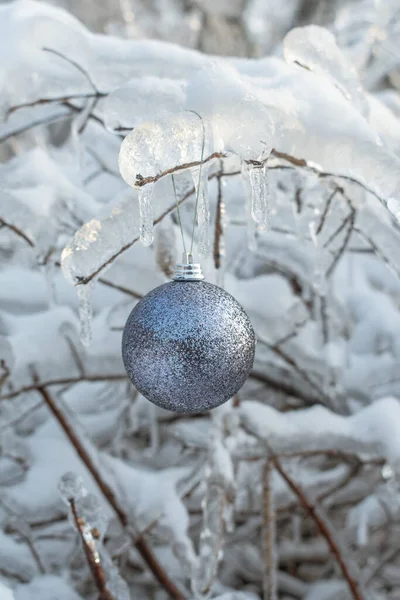 Bola Natal Prata Brilhante Floresta Ramo Que Coberto Com Gelo — Fotografia de Stock