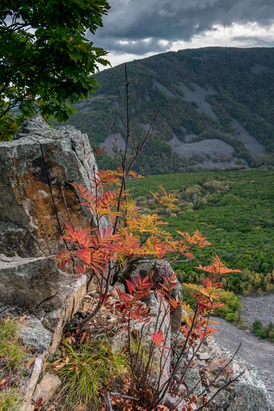 Paisaje Otoñal Las Montañas — Foto de Stock