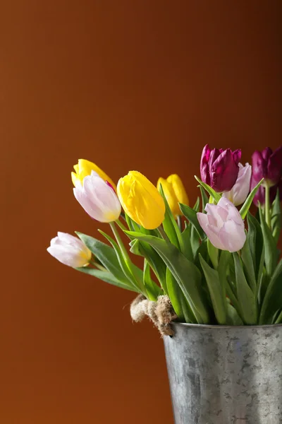 Tulpen mit frischer Farbe im Eimer — Stockfoto