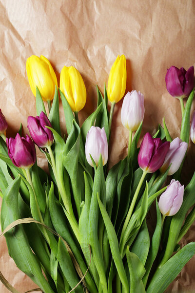 весенние тюльпаны на бумаге
