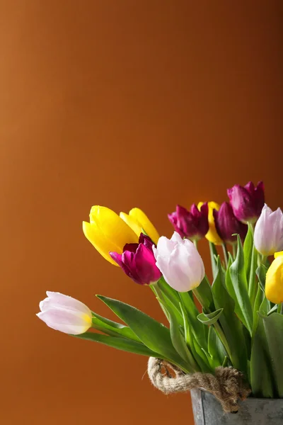 Frühlingsblumen im Eimer — Stockfoto