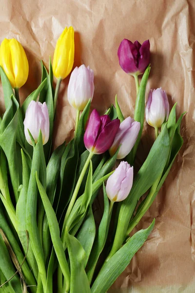 Tulipány na papíře — Stock fotografie