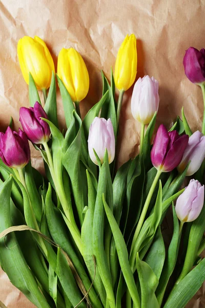 Świeże wiosenne kwiaty — Zdjęcie stockowe