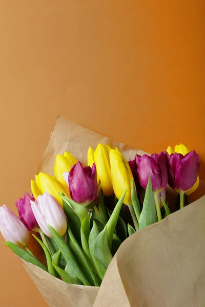 Živé jarní květy — Stock fotografie