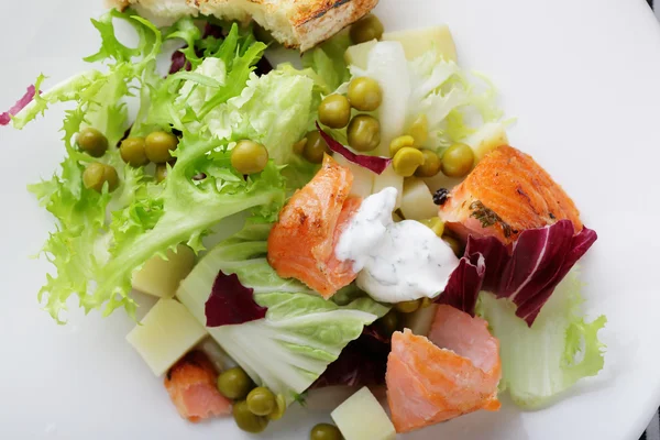 Salad with slice of roasted salmon — Stock Photo, Image