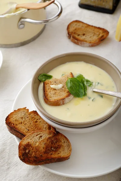 Sup panas dalam mangkuk keramik dengan toast — Stok Foto