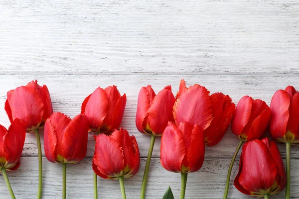 Rote Tulpen auf weißen Brettern — Stockfoto