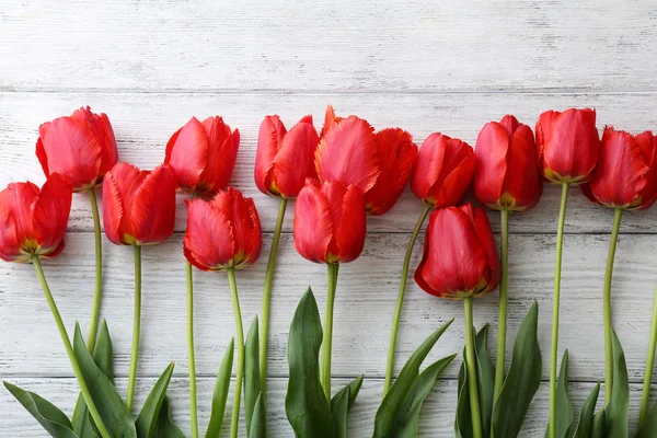 Rode tulpen op witte houten ondergrond — Stockfoto