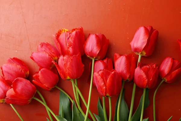 Frische Tulpen auf rotem Hintergrund — Stockfoto