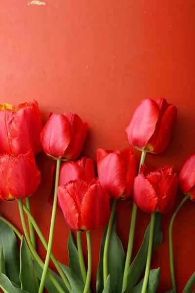 Frische rote Tulpen Hintergrund — Stockfoto