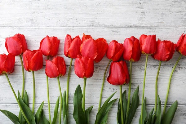 Tulipány na bílém pozadí dřevěná — Stock fotografie