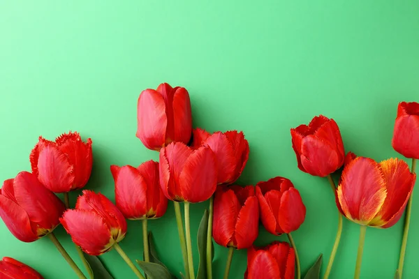 Tulpen Strauß auf grünem Hintergrund — Stockfoto
