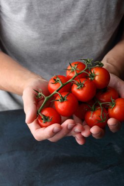 insan elinde domates