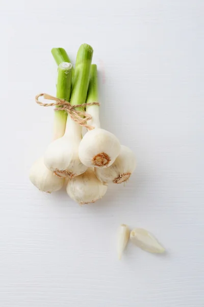Bouquet d'ail frais — Photo