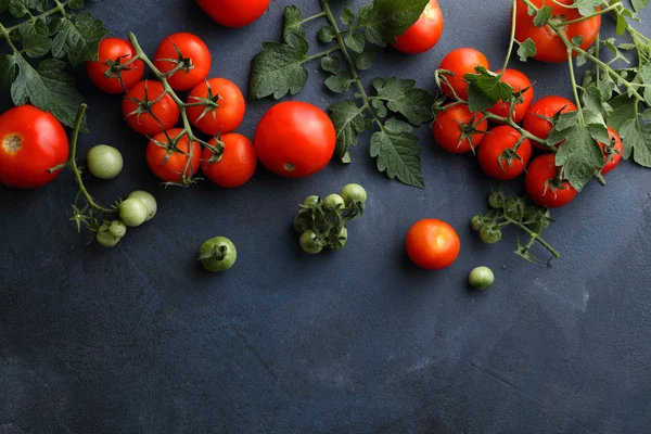 Verse rode tomaten op leisteen — Stockfoto