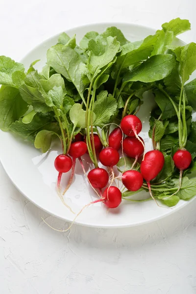 Fresh raw radish on white plate — Stock Photo, Image