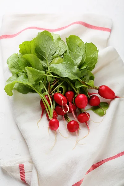 Bunch of organic radish — Stock Photo, Image