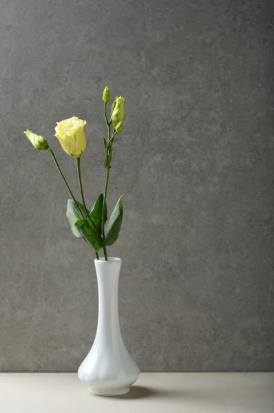 Uma flores em vaso branco — Fotografia de Stock