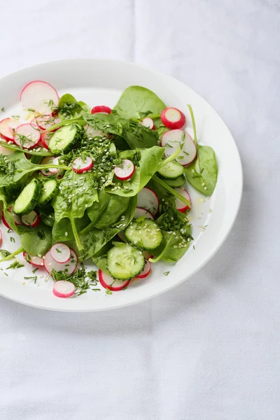 Salada de legumes crus com folhas de espinafre — Fotografia de Stock
