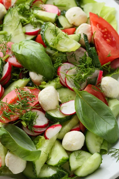Ensalada saludable con pepino y tomate —  Fotos de Stock