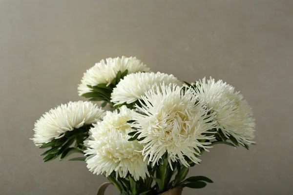 Bouquet asters against concrete wall — Stock Photo, Image