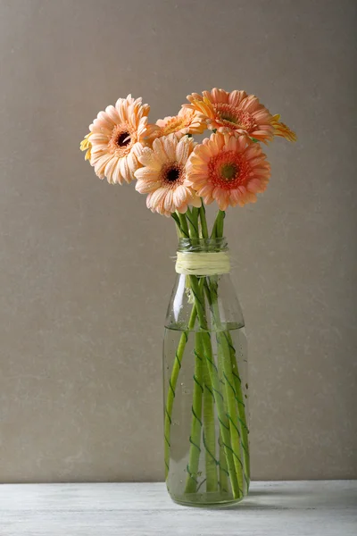 Gerbera em vaso de vidro — Fotografia de Stock