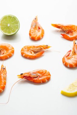 Işık yüzeyinde limonlu karidesler