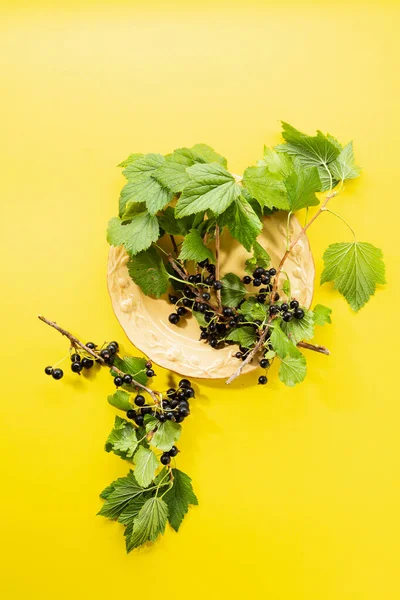 Verse Zwarte Bessen Bessen Houten Plaat Bovenaanzicht — Stockfoto