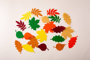 Colorful bright creative autumn layout with leaves
