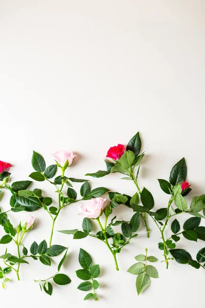 Vista Aérea Rosas Flores Puesta Plana — Foto de Stock