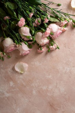 Açık pembe yüzeyde pembe çiçekler, boşluğu kopyala