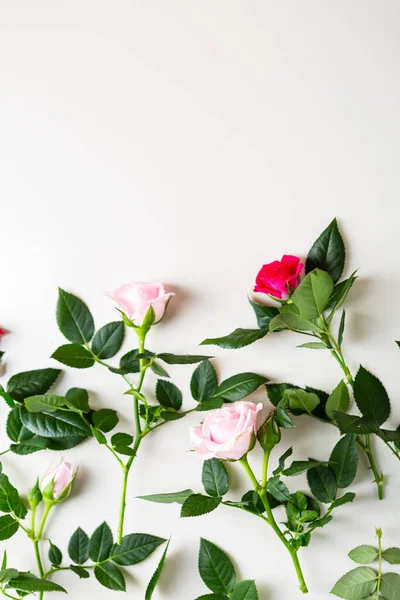 Flores Rosas Pequeñas Fondo Copiar Espacio — Foto de Stock