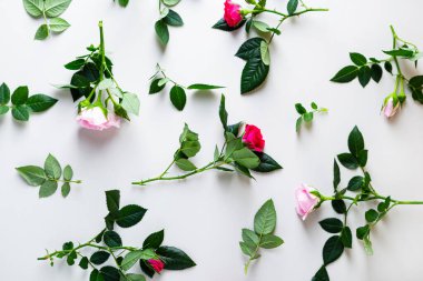 Işık yüzeyindeki bahçenin yukarıdan görünüşü