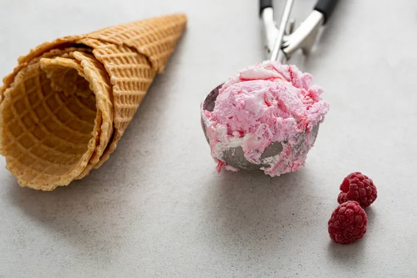 Summer Dessert Homemade Gelato Berries Close — Stock Photo, Image